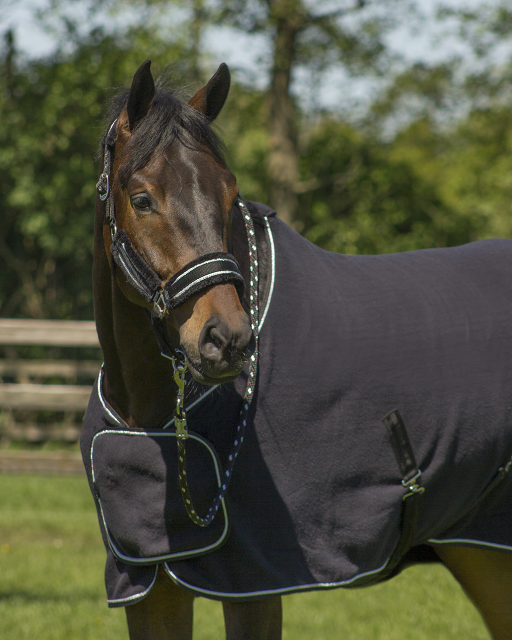 Sada ohlávka a vodítko QHP Dolci, černá/stříbrná