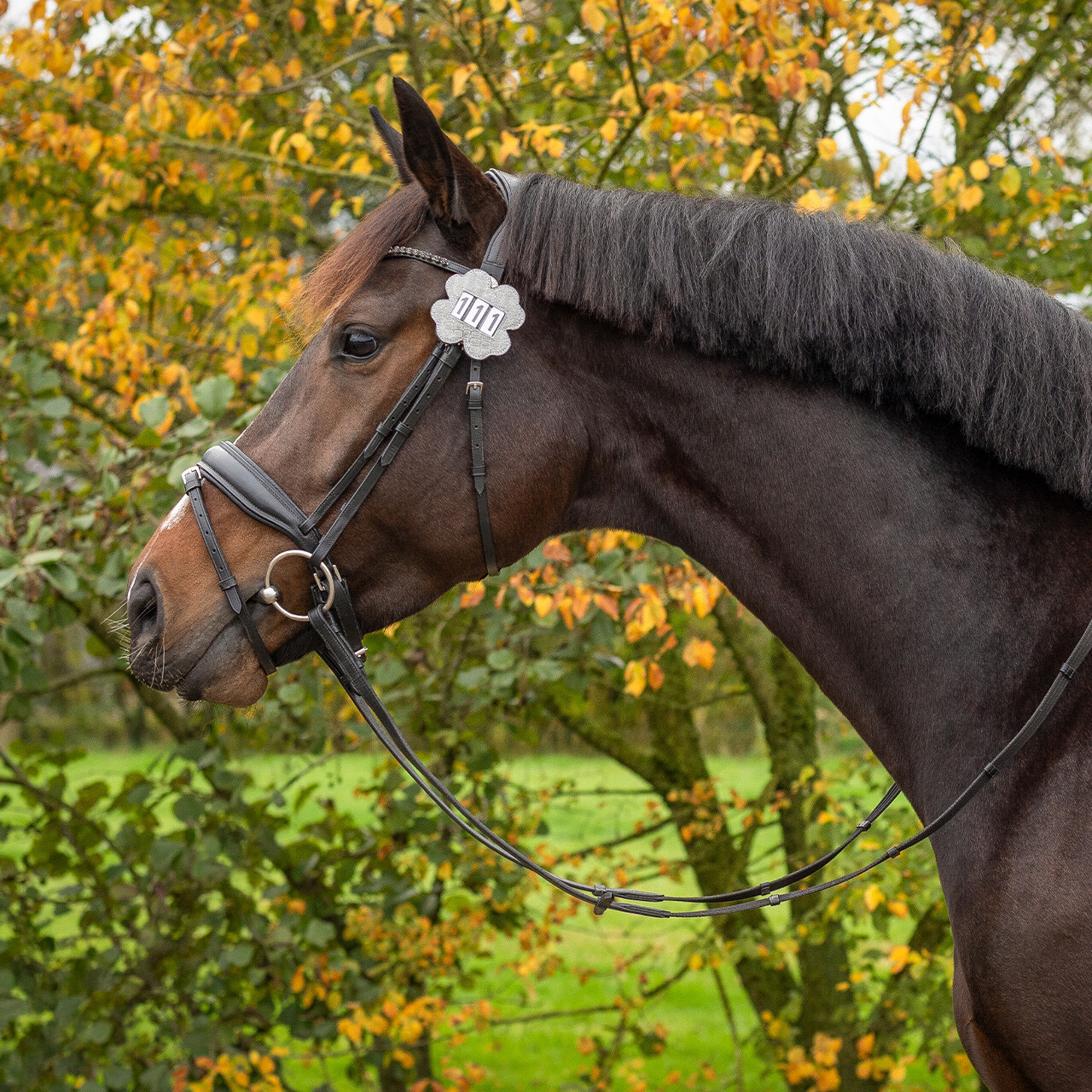 Pouzdro na čísla QHP Clover Silver