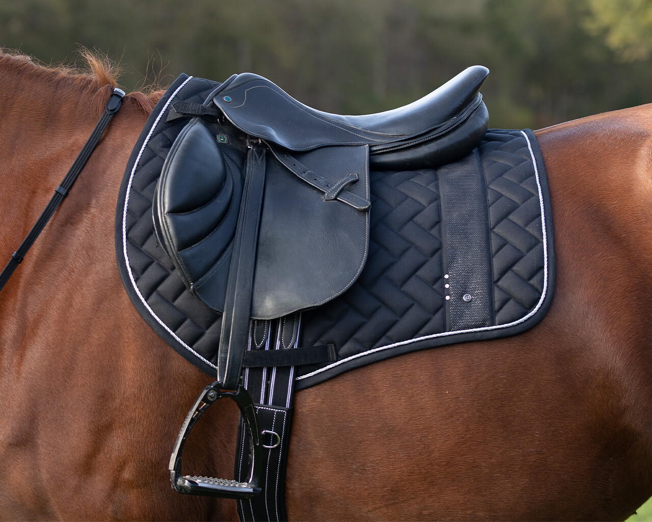 Podsedlová dečka QHP Kae, černá