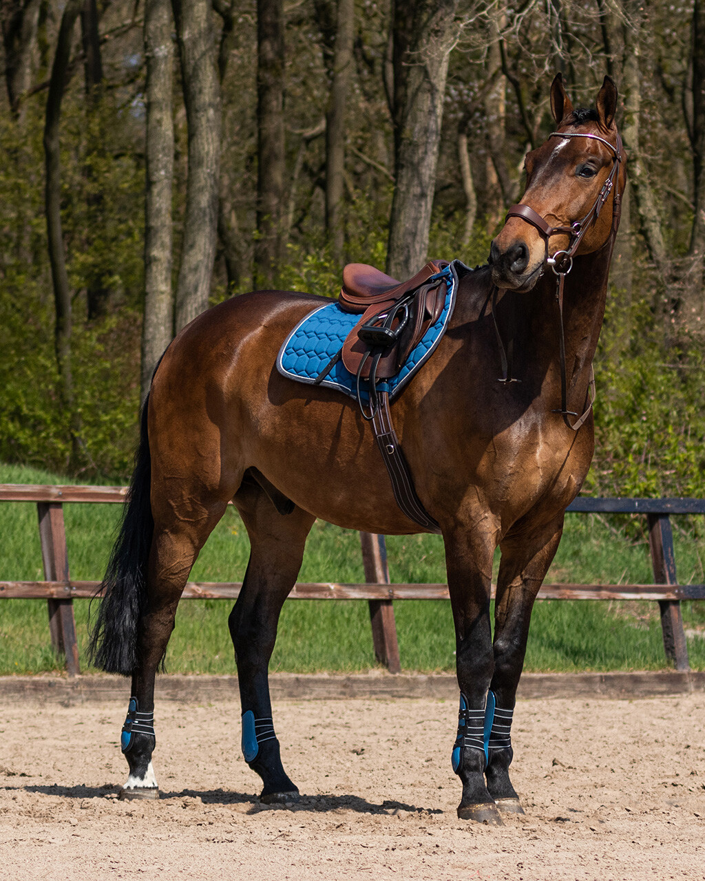 Přední kamaše QHP Champion, modrá