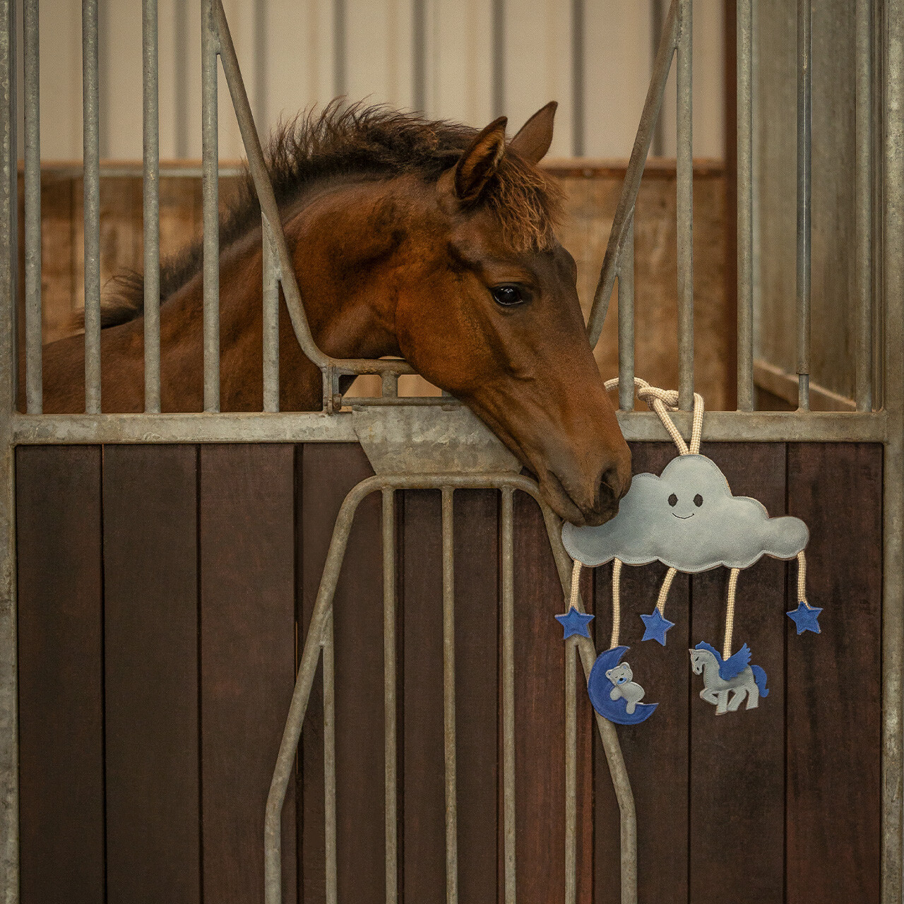 Hračka pro koně QHP Novy, modrá
