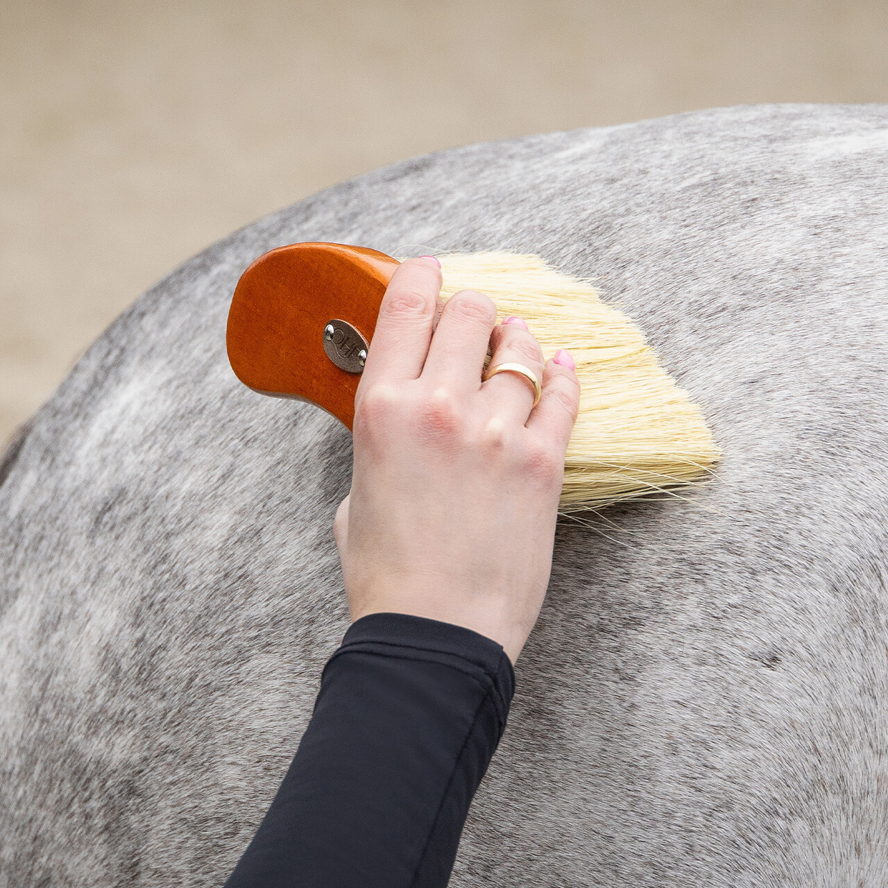 Sada na úpravu Royal Brown