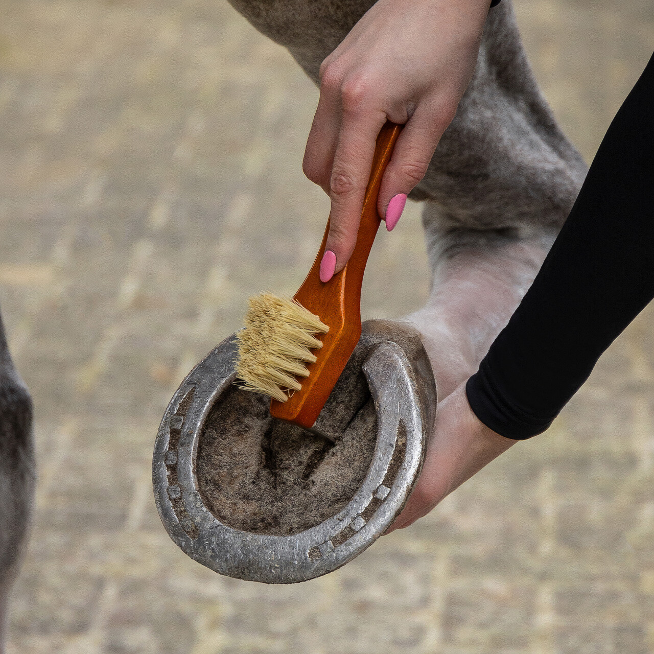 Sada na úpravu Royal Brown