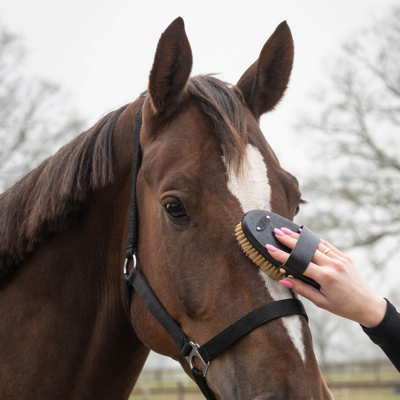 Kosmetická sada Royal Black
