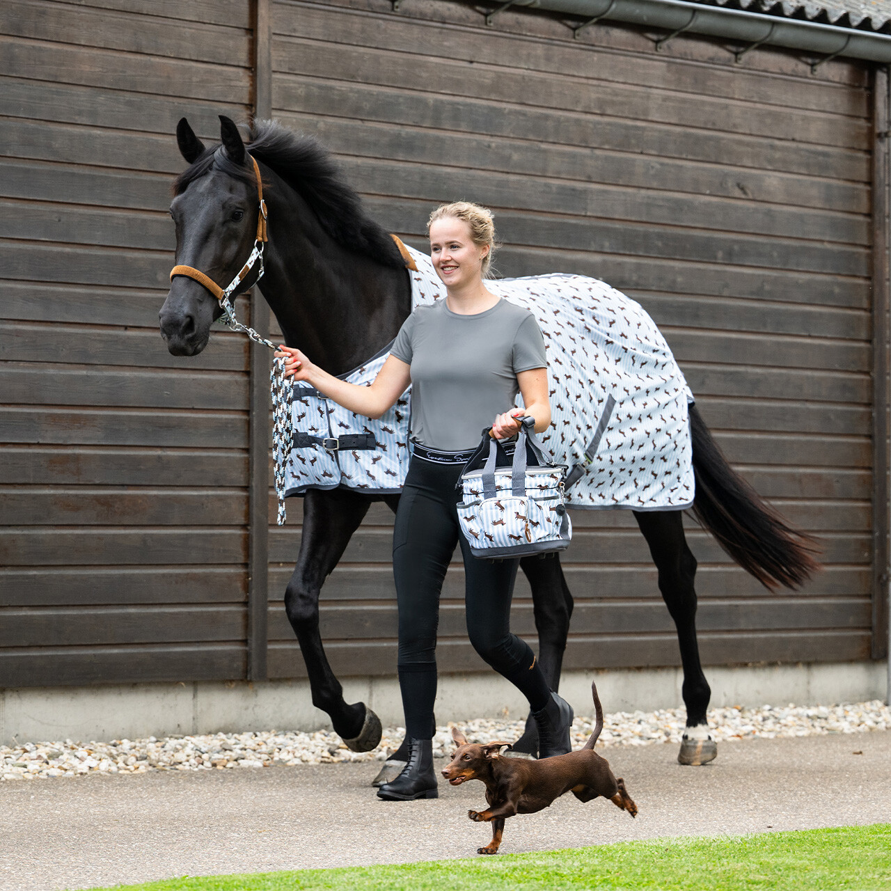 Taška na úpravu srsti stájový kamarád jezevčík