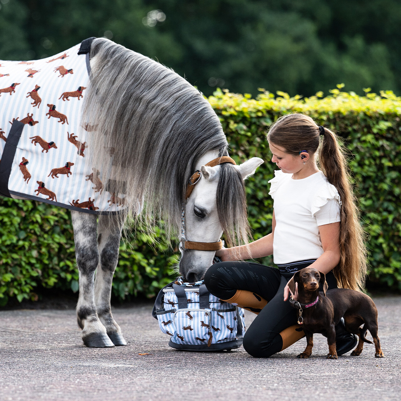 Taška na úpravu srsti stájový kamarád jezevčík