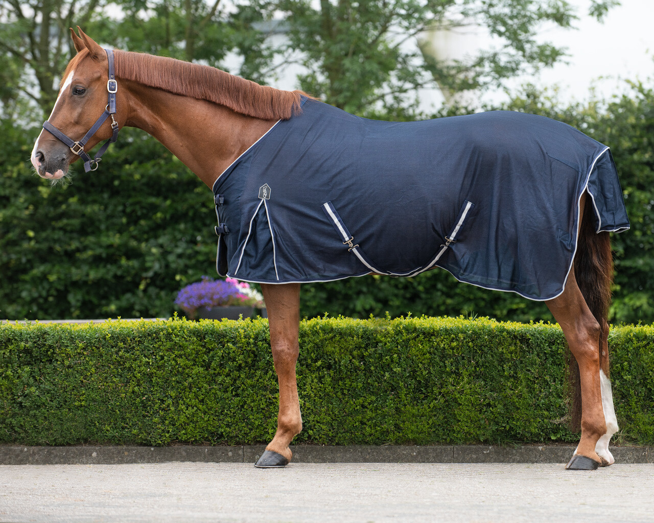 Síťovaná deka proti hmyzu QHP Basic, tmavě modrá