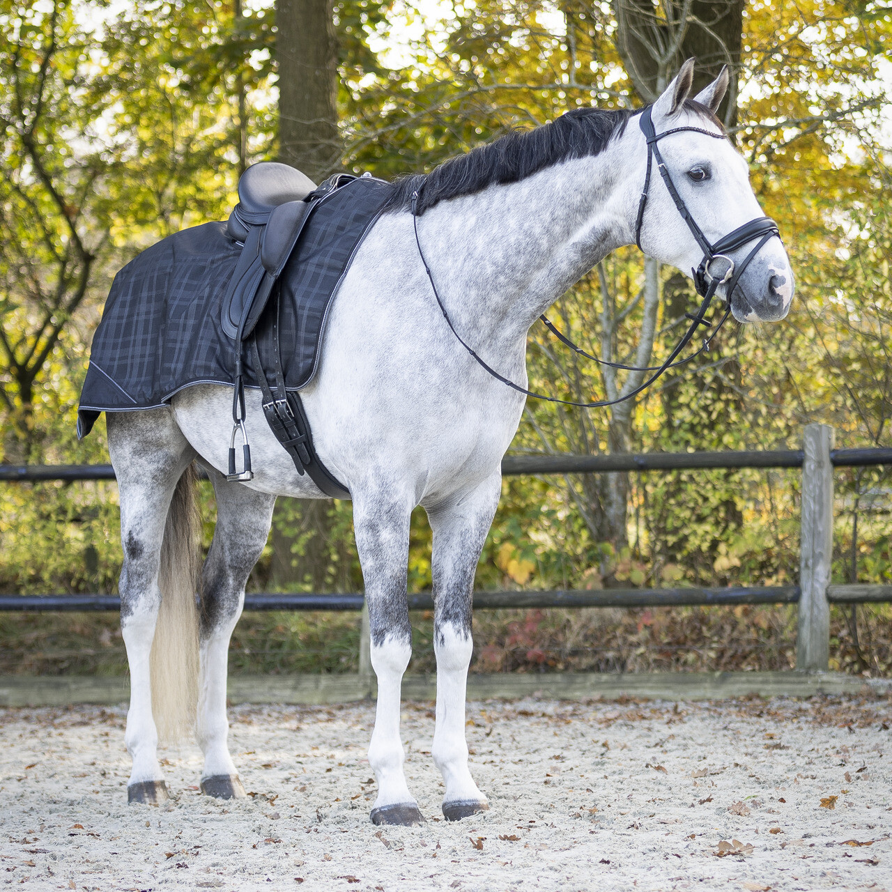 Nepromokavá bederní deka QHP Collection, černá/šedá