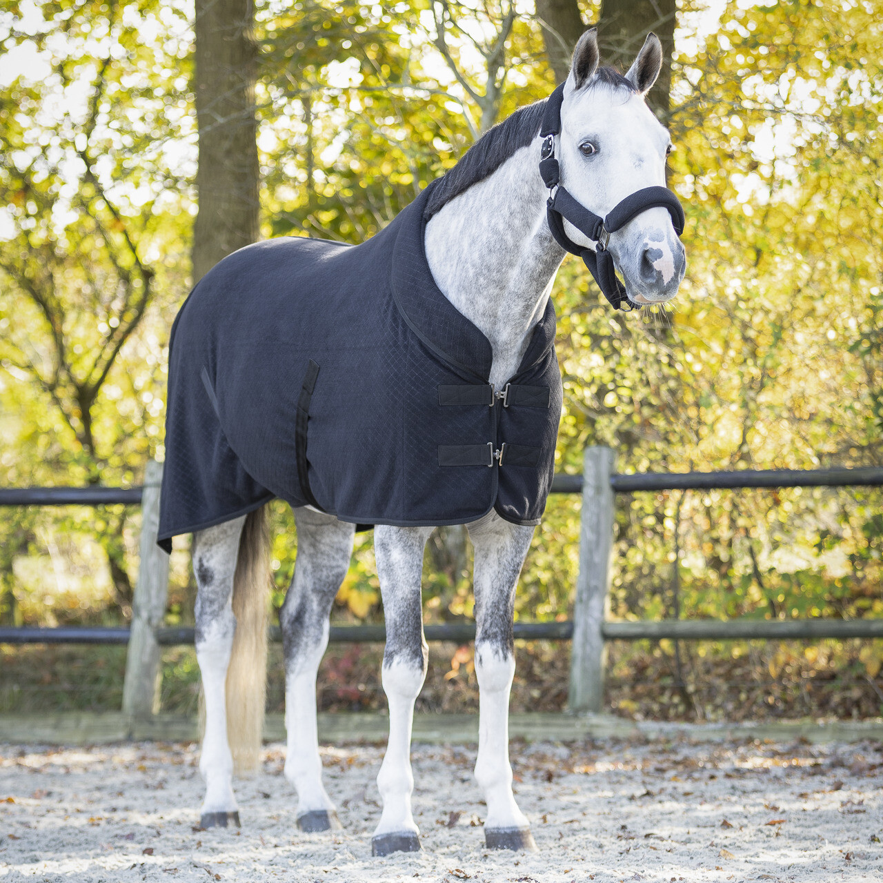 Odpocovací deka QHP Zahra, černá