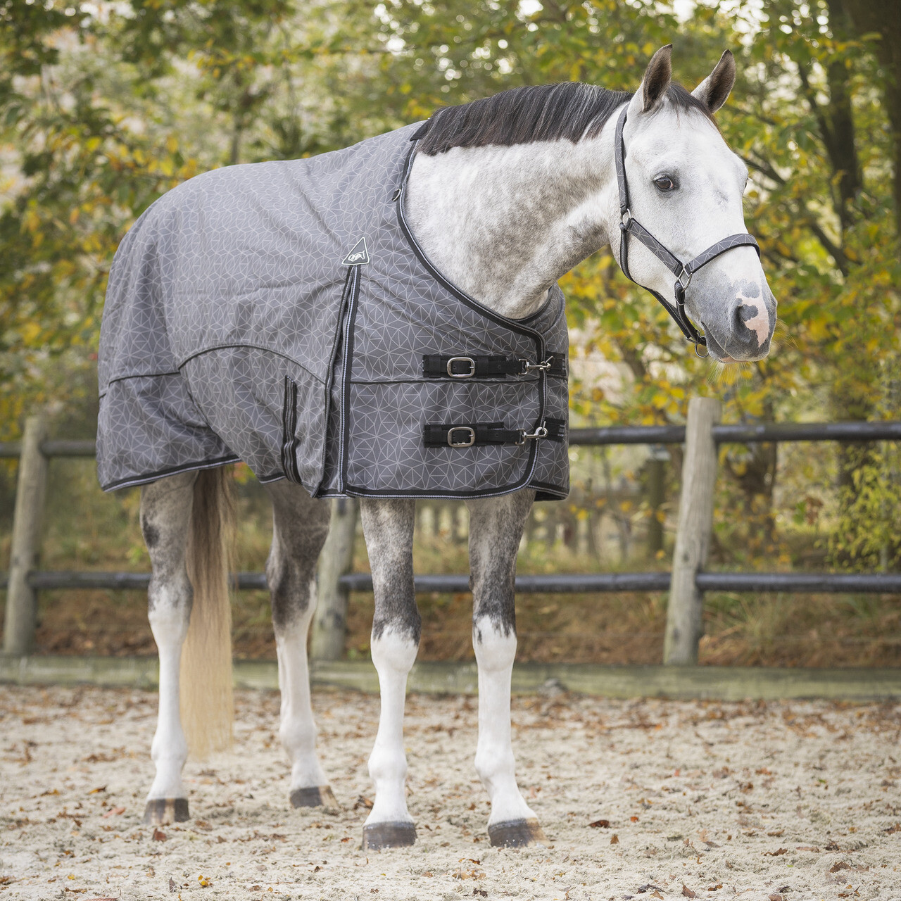 Kolekce výběhových dek, 300 g, šedá, reflexní