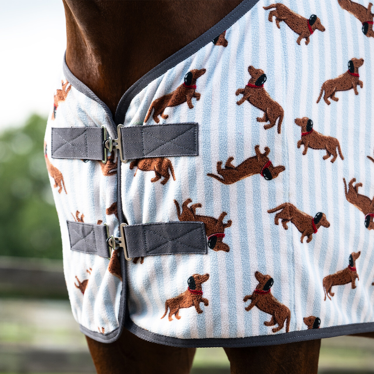 Fleecová deka Stable buddy jezevčík