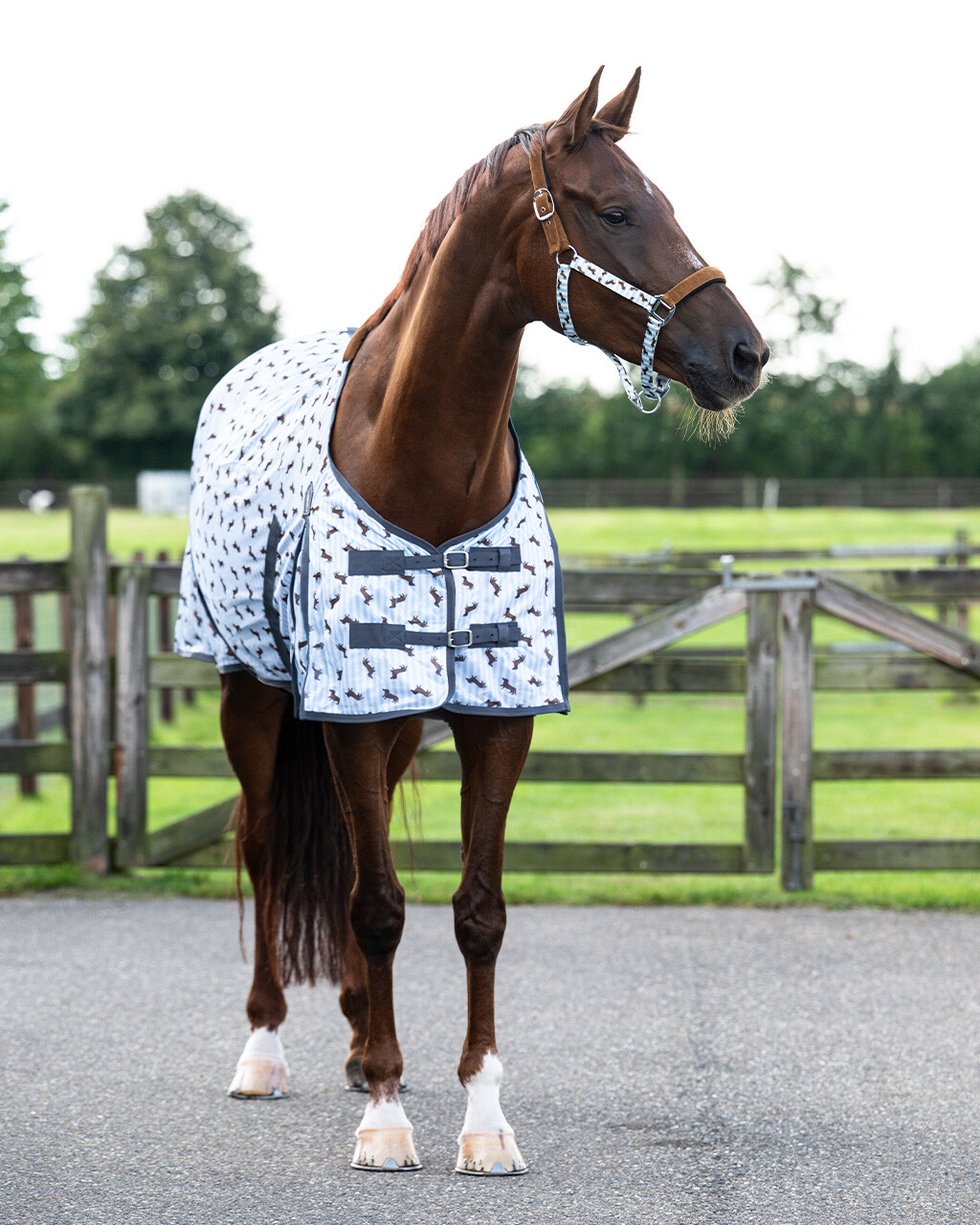 Deka proti hmyzu Stájový parťák Jezevčík