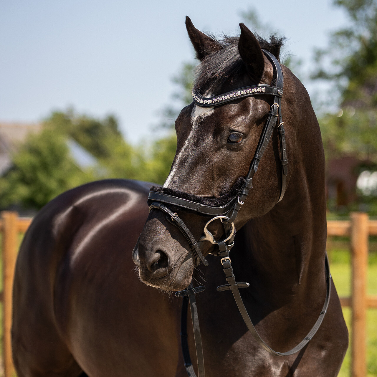 Uzdečka QHP Sensisoft, černá