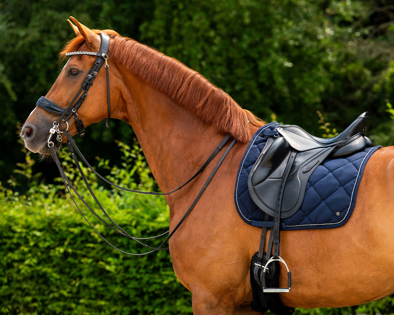 Podsedlová dečka PerformNow námořnická modrá