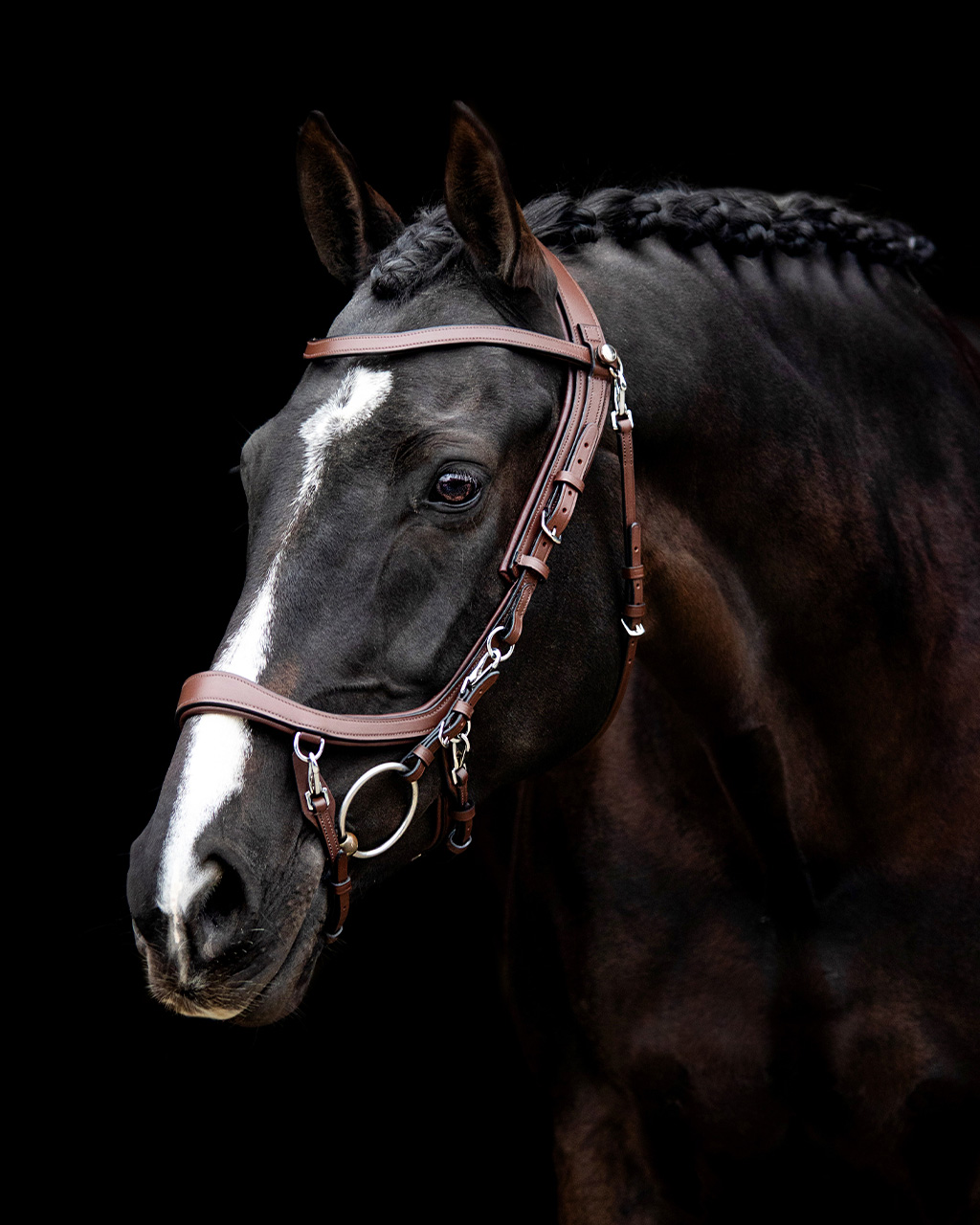 Uzdečka FaySport - hnědá