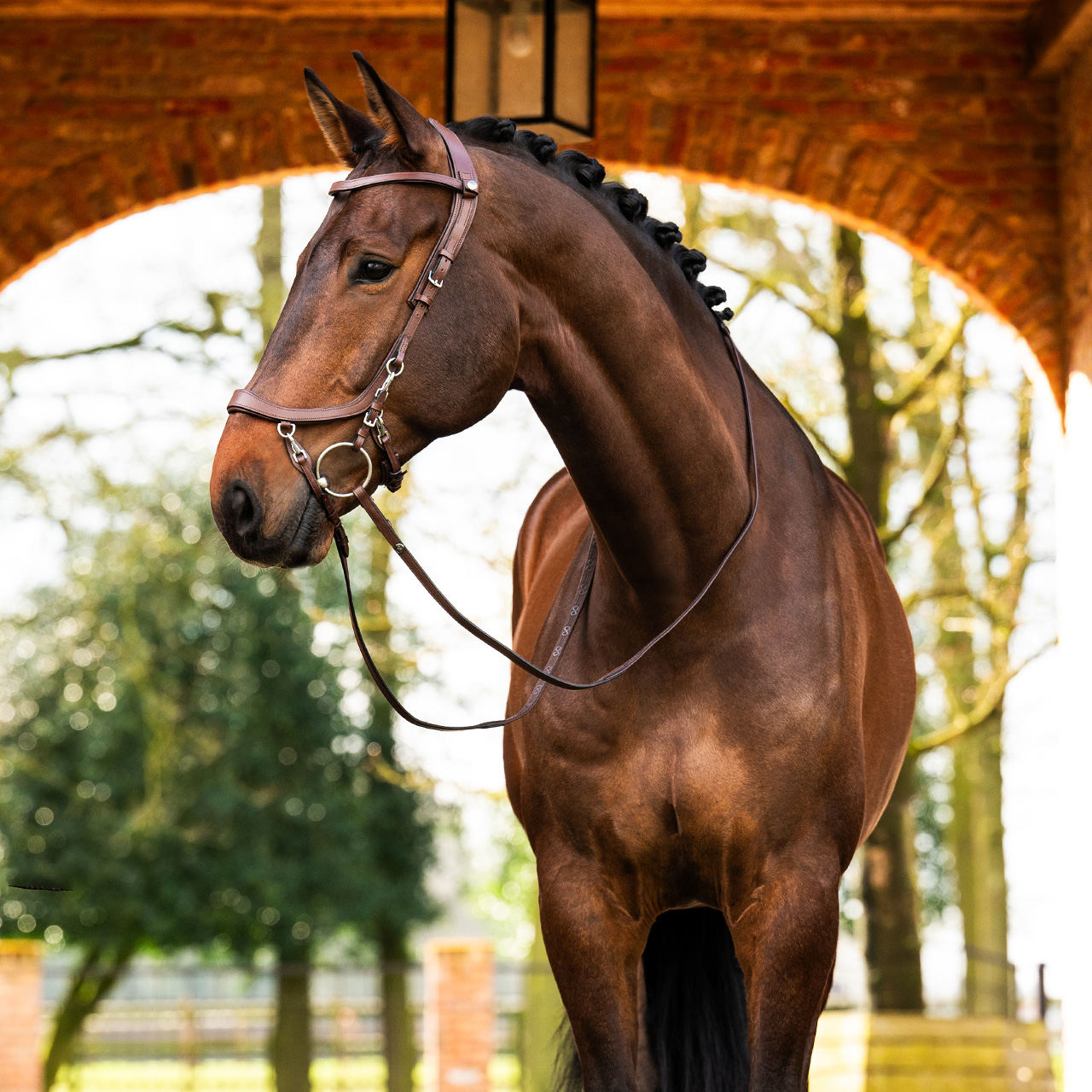 Uzdečka FaySport - hnědá
