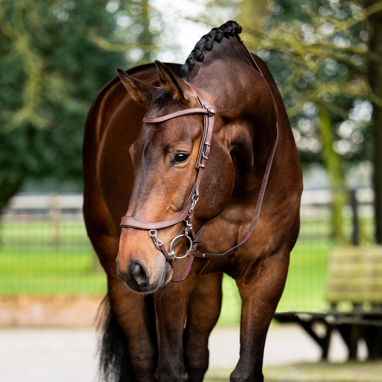 Uzdečka FaySport - hnědá