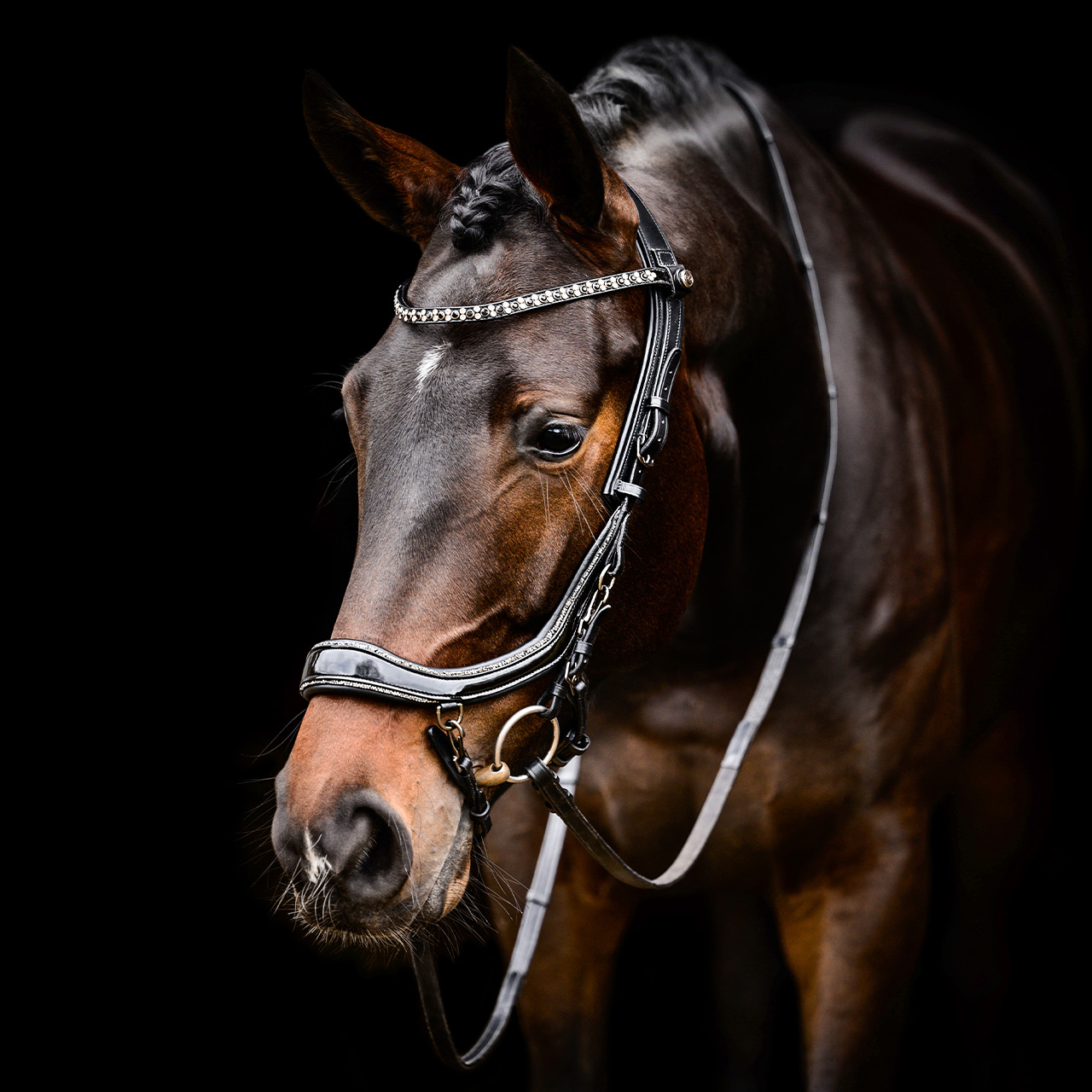 Uzdečka FaySport Glitter, černá