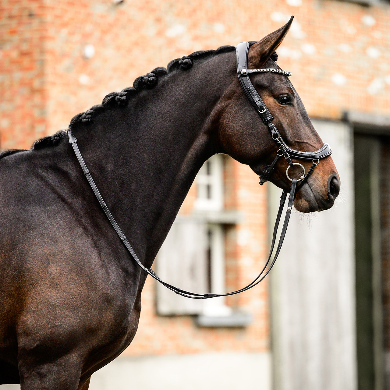 Uzdečka FaySport Glitter, černá