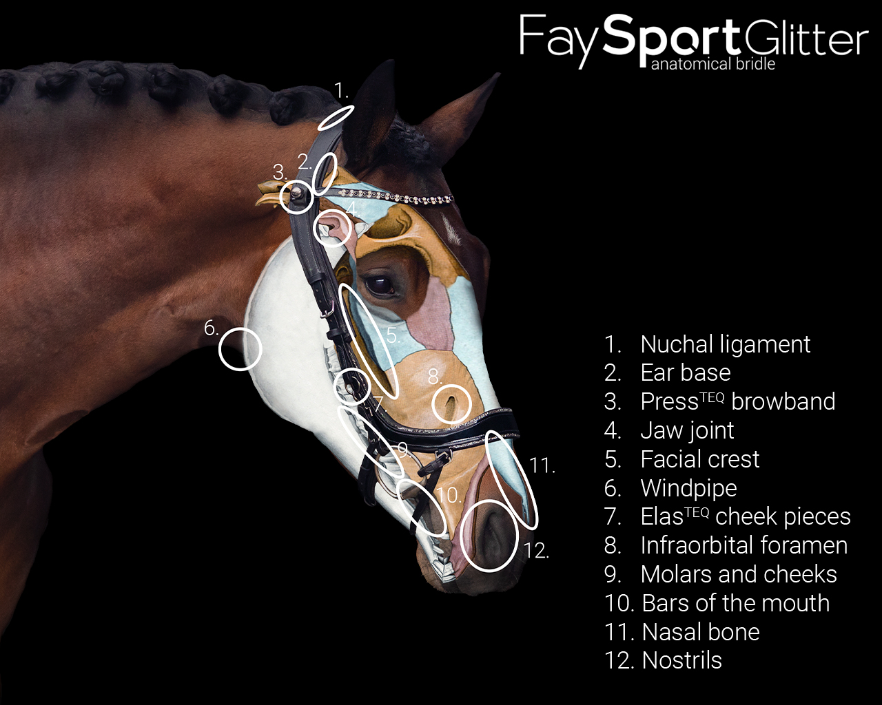 Uzdečka FaySport Glitter, černá