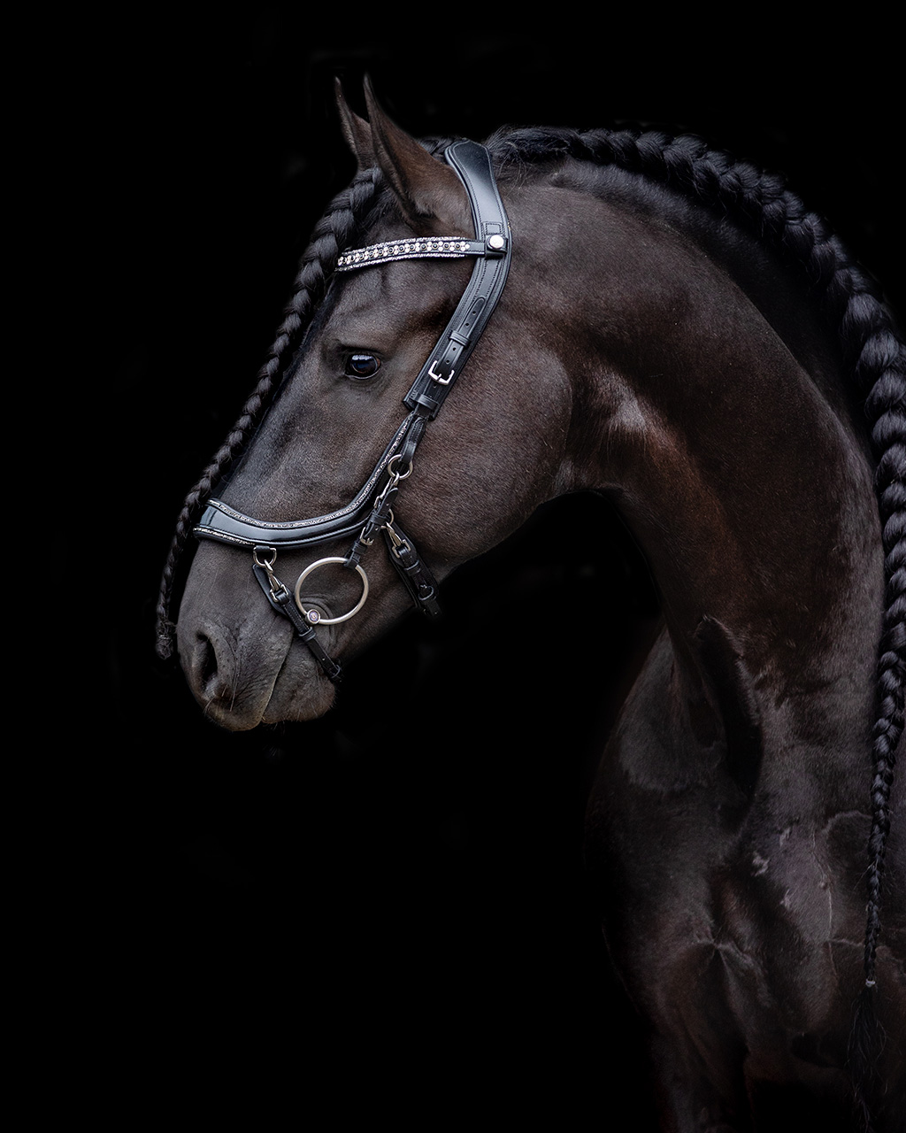 Uzdečka FaySport Glitter, černá