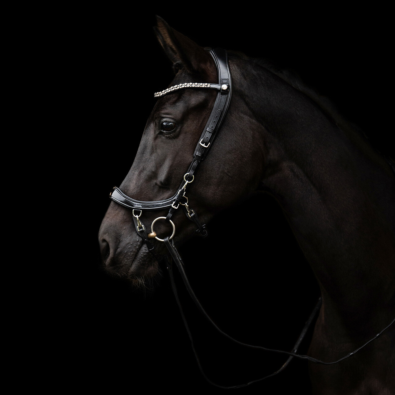 Uzdečka FaySport Shine - černá