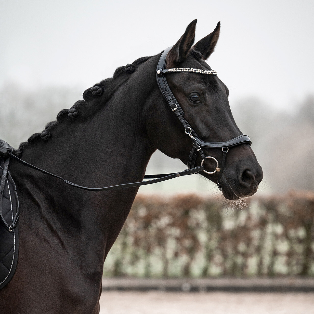 Uzdečka FaySport Shine - černá