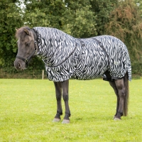 Ekzém koberec islandská zebra