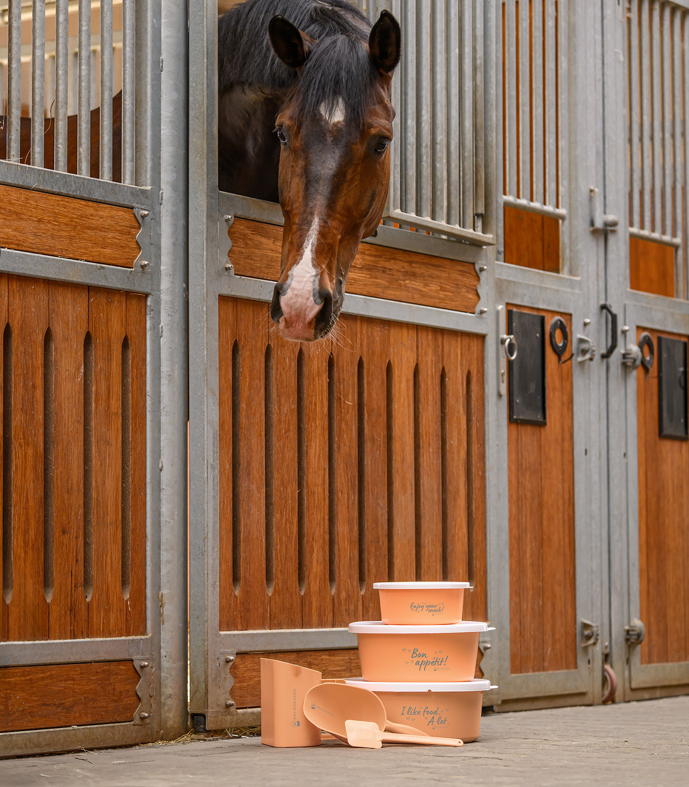 Miska na krmení s víčkem