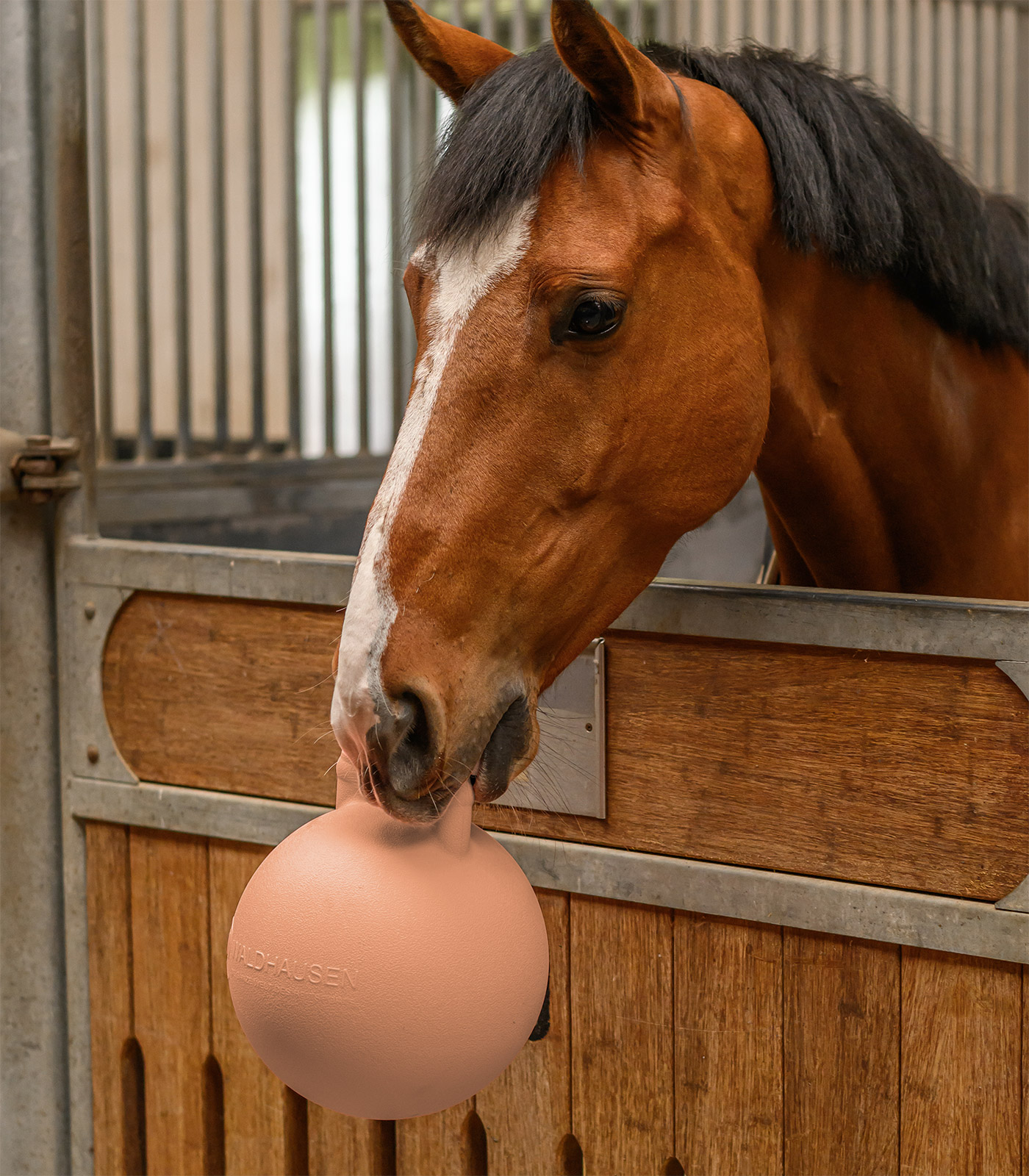 Míč Fun Ball