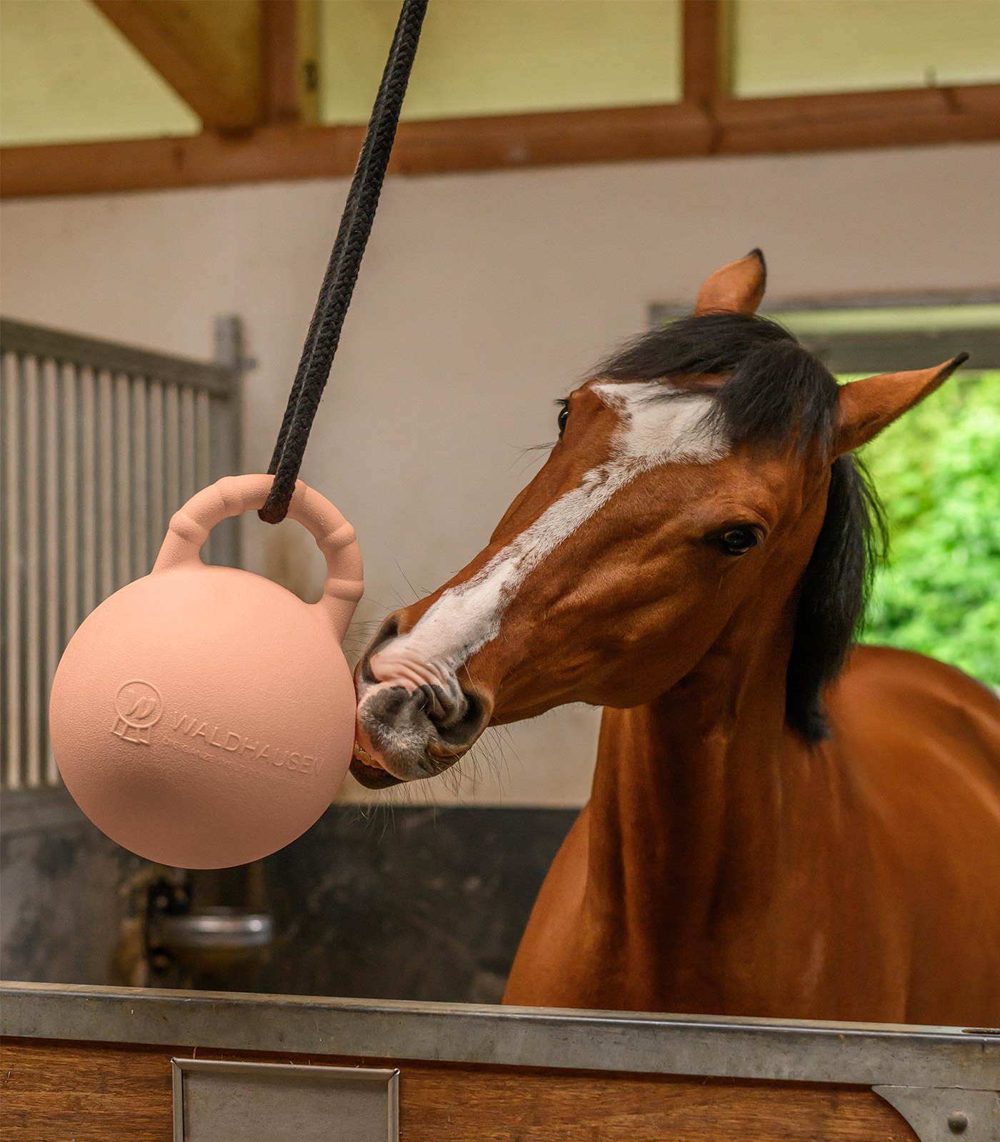 Míč Fun Ball