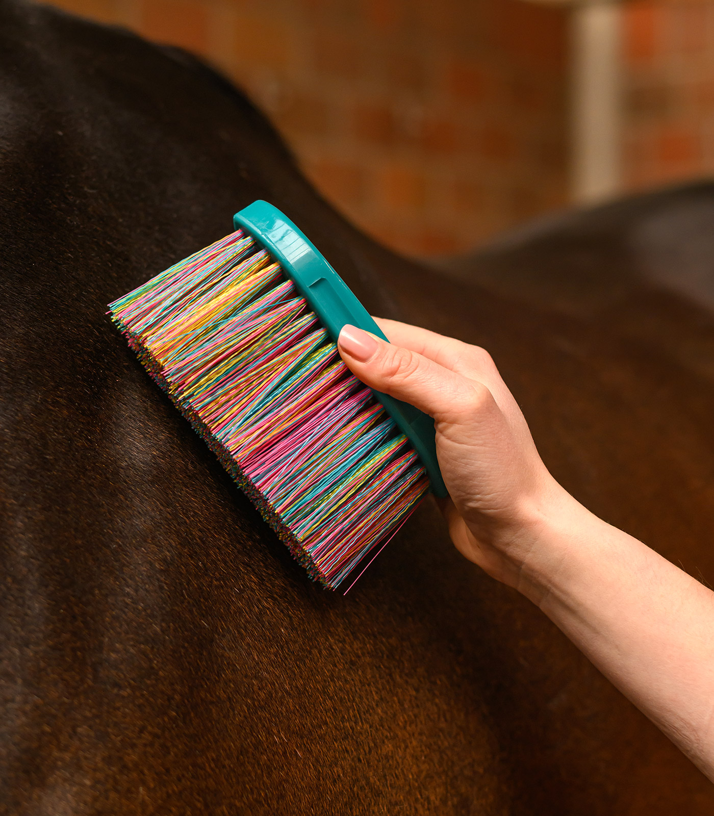 Kartáč na tělo Rainbow