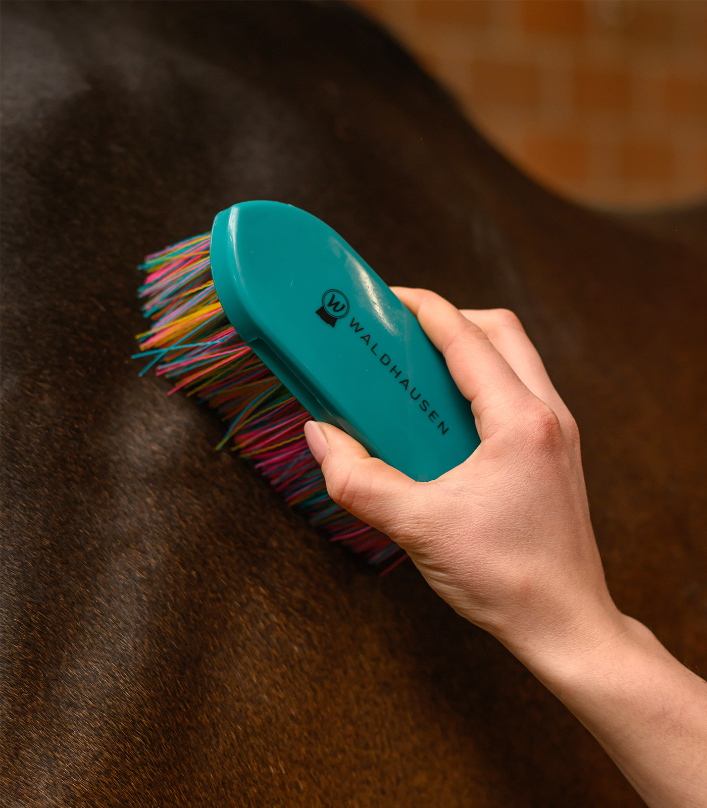 Kartáč na tělo Rainbow