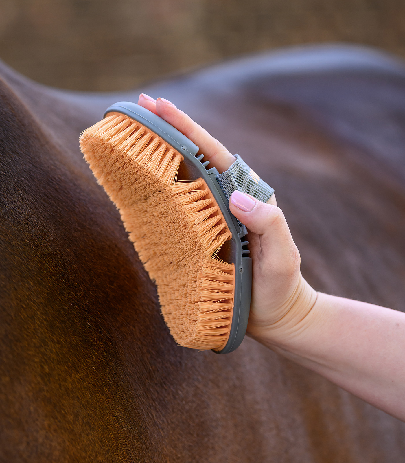 Flex kartáč na koně, měkké syntetické štětiny