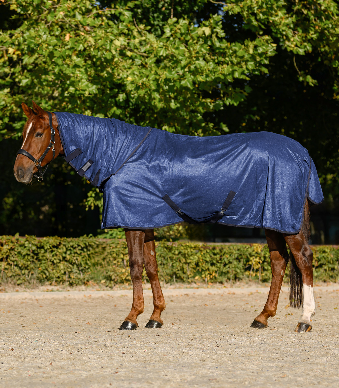 Deka proti mouchám FlyControl s krčním dílem